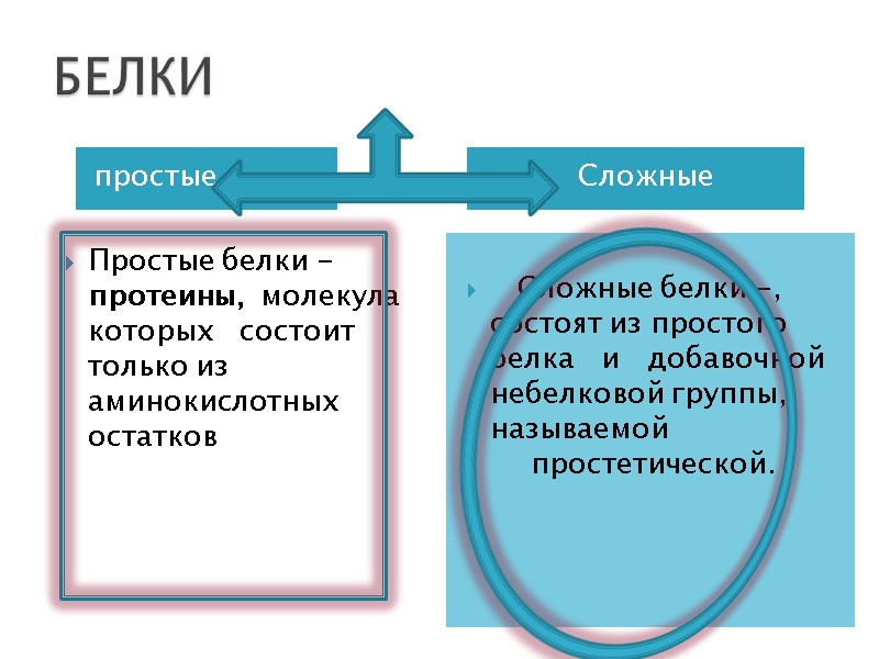 БЕЛКИ простые           Сложные 